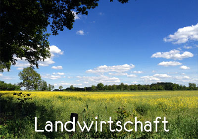 Angebote Rubrik Grundstücke Landwirtschaft & Gewerbeimmobilien